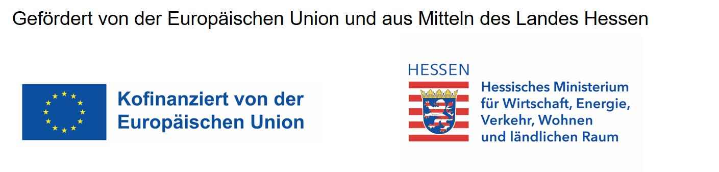 logo-eu-hmwevw-data2.jpg